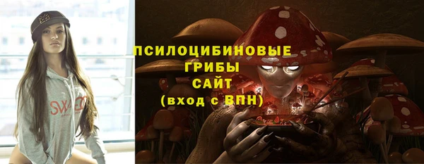 таблы Козельск