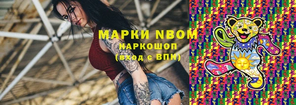 гашик Козловка