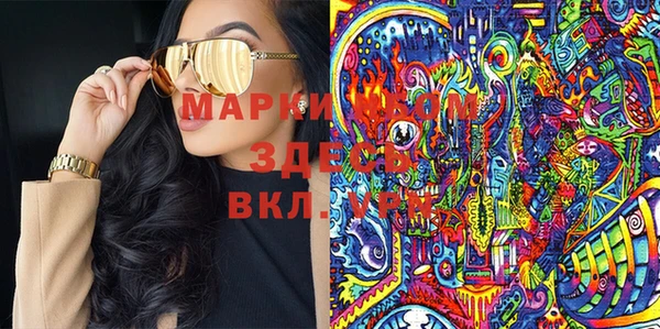 гашик Козловка