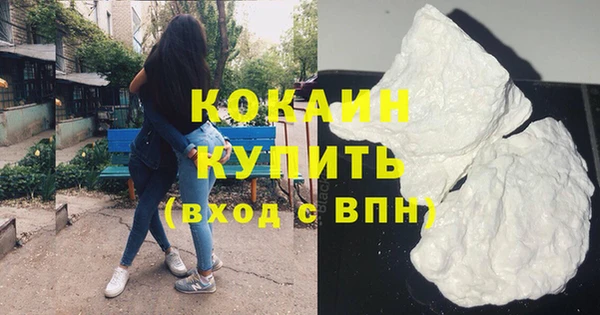 гашик Козловка