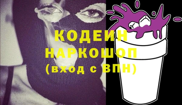 гашик Козловка