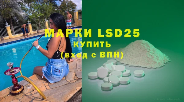 гашик Козловка