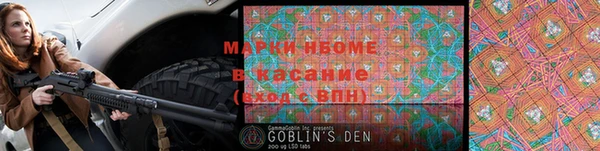 амф Кодинск