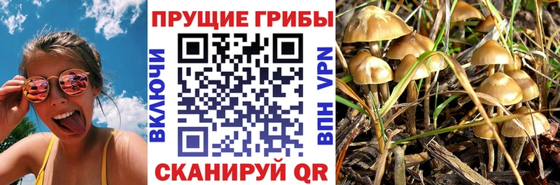 Галлюциногенные грибы ЛСД Красноуральск