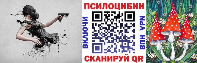 Псилоцибиновые грибы Psilocybe  Купить где  Красноуральск 